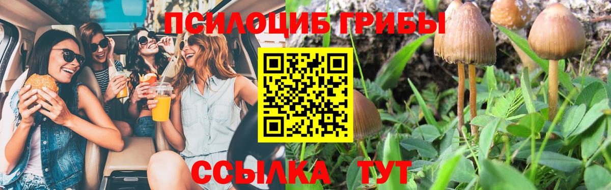 Галлюциногенные грибы Psilocybe  Вход с VPN  Феодосия 